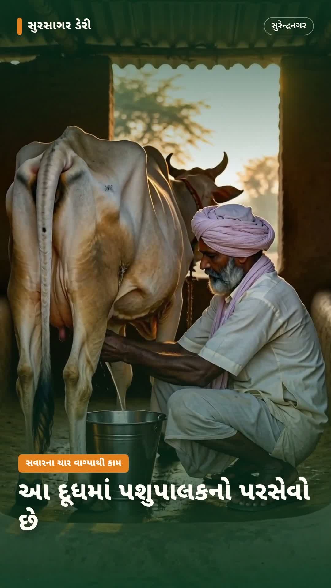 આ દૂધમાં પશુપાલકનો પરસેવો છે