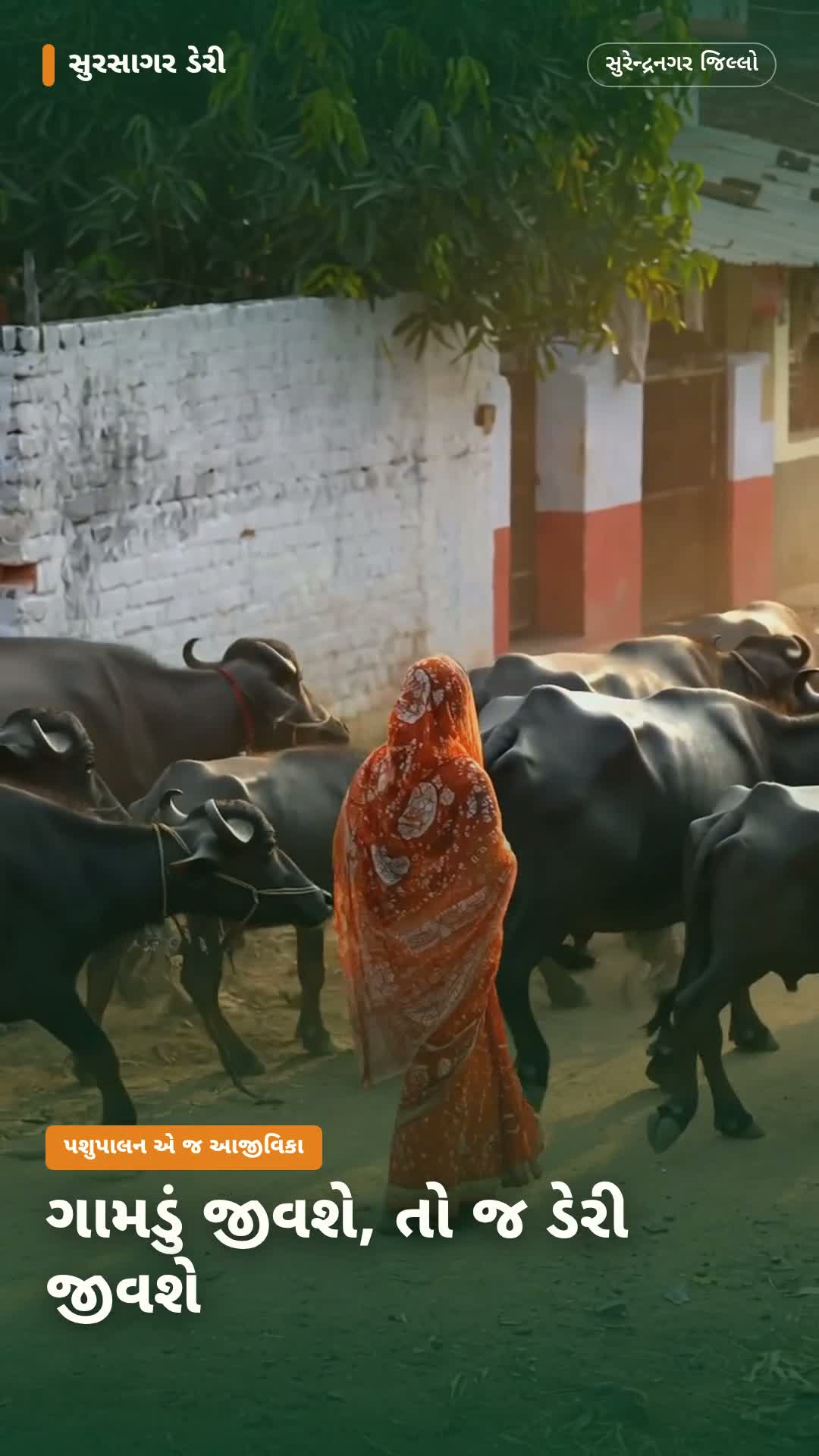 ગામડું જીવશે, તો જ ડેરી જીવશે
